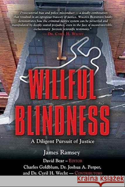 Willful Blindness: A Diligent Pursuit of Justice David Bear James Ramsey 9781634916431