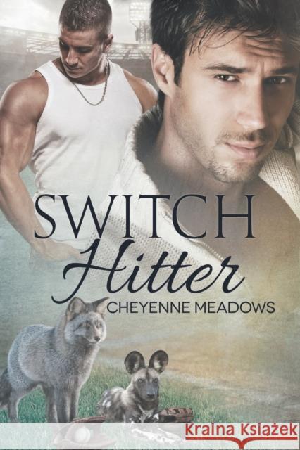 Switch Hitter Cheyenne Meadows 9781635335866 Dreamspinner Press