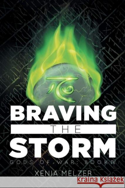 Braving the Storm: Volume 4 Melzer, Xenia 9781635336757 DSP Publications