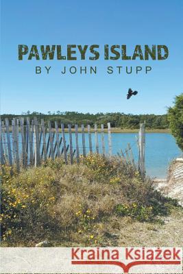 Pawleys Island John Stupp 9781635342208