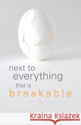 Next to Everything That Is Breakable Kara Knickerbocker 9781635342406