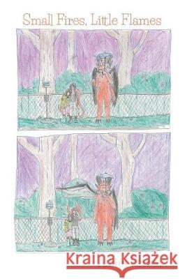 Small Fires, Little Flames Adam Penna 9781635342932