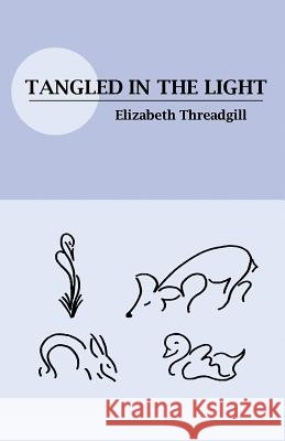 Tangled in the Light Elizabeth Threadgill 9781635344707