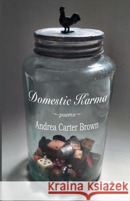 Domestic Karma Andrea Carter Brown 9781635347319