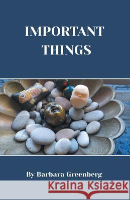 Important Things Barbara Levenson Greenberg 9781635347340