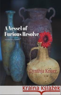 A Vessel of Furious Resolve Cynthia Knorr 9781635349252