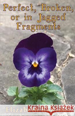 Perfect, Broken or in Jagged Fragments Elizabeth P. Buttimer 9781635349849