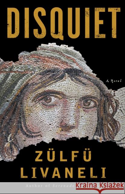 Disquiet: A Novel Zulfu Livaneli 9781635420326