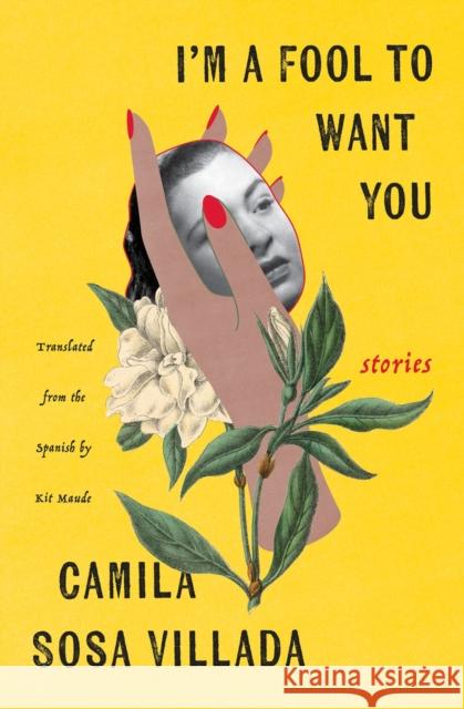 I'm A Fool To Want You: Stories Kit Maude 9781635423853 Other Press LLC