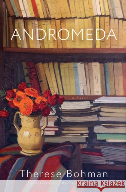 Andromeda: A Novel Marlaine Delargy 9781635424188 Other Press (NY)