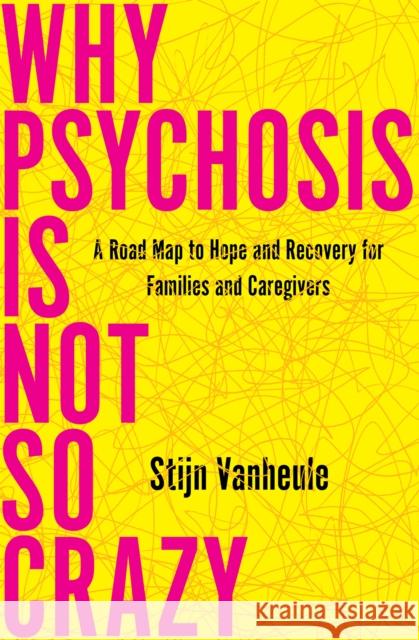 Why Psychosis Is Not So Crazy: A Road Map to Hope and Recovery for Families and Caregivers Stijn Vanheule 9781635424423 Other Press (NY)