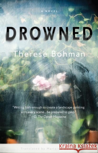 Drowned: A Novel Marlaine Delargy 9781635425055