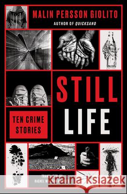 Still Life: Ten Crime Stories Malin Persso Rachel Willson-Broyles 9781635425567 Other Press (NY)