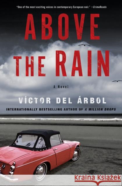 Above the Rain: A Novel Lisa Dillman 9781635429954 Other Press (NY)