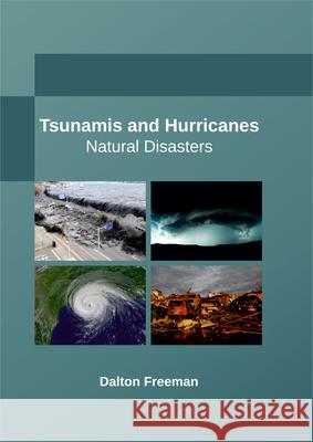 Tsunamis and Hurricanes: Natural Disasters Dalton Freeman 9781635491463 Larsen and Keller Education