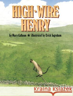 High-Wire Henry Mary Calhoun, Erick Ingraham 9781635616972 Echo Point Books & Media