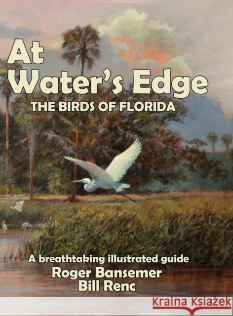 At Water's Edge: The Birds of Florida Bansemer Roger 9781635617856 Echo Point Books & Media
