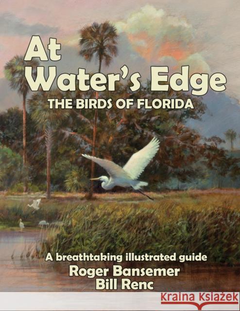 At Water's Edge: The Birds of Florida Bansemer Roger 9781635619393 Echo Point Books & Media, LLC