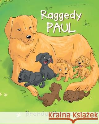 Raggedy Paul Brenda Moore 9781635758511 Christian Faith Publishing, Inc.