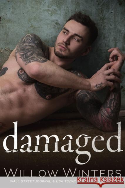 Damaged Willow Winters 9781635762976 Diversion Books
