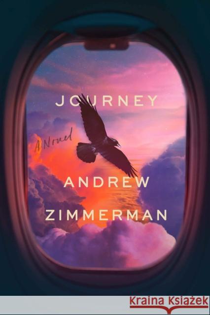 Journey: A Metaphysical Novel Zimmerman, Andrew 9781635766646 Diversion Books