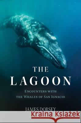 The Lagoon: Encounters with the Whales of San Ignacio James Michael Dorsey 9781635768428 Diversion Books