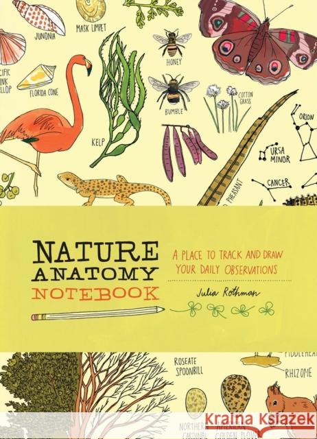 Nature Anatomy Notebook: A Place to Track and Draw Your Daily Observations Julia Rothman 9781635861785 Storey Publishing