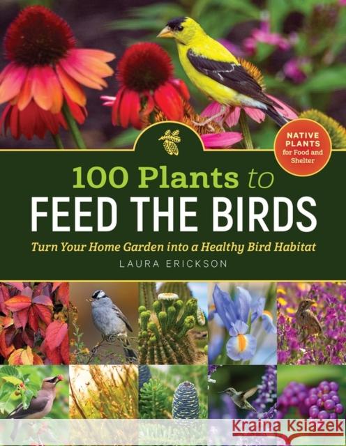 100 Plants to Feed the Birds: Turn Your Home Garden Into a Healthy Bird Habitat Erickson, Laura 9781635864380 Storey Publishing