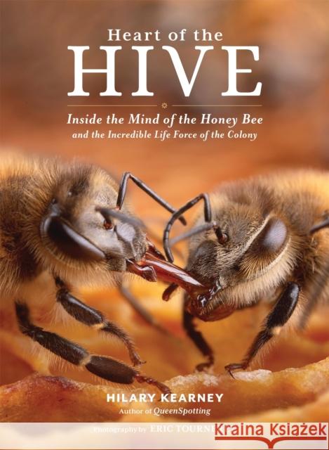 Heart of the Hive: Inside the Mind of the Honey Bee and the Incredible Life Force of the Colony Hilary Kearney 9781635864830 Workman Publishing