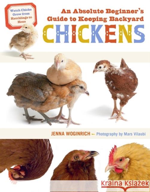 An Absolute Beginner's Guide to Keeping Backyard Chickens: Watch Chicks Grow from Hatchlings to Hens Jenna Woginrich 9781635865189 Storey Publishing