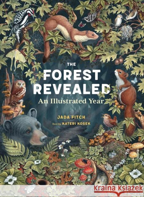 The Forest Revealed: An Illustrated Year Kateri Kosek 9781635868821 Storey Publishing