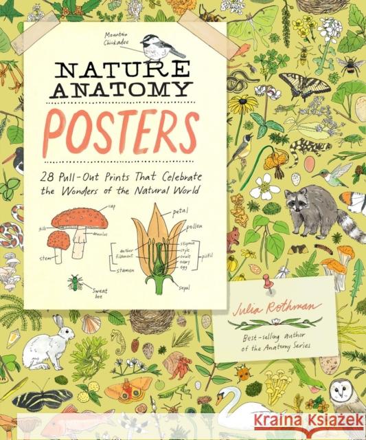 Nature Anatomy Posters: 28 Pull-Out Prints That Celebrate the Wonders of the Natural World Julia Rothman 9781635869934 Storey Publishing