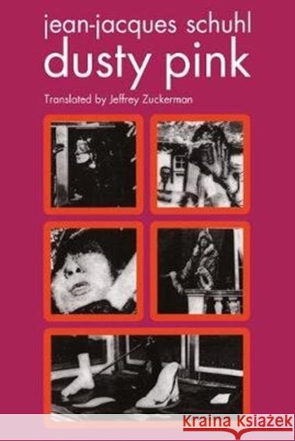 Dusty Pink Jean-Jacques Schuhl Jeffrey Zuckerman 9781635900132 Semiotext(e)