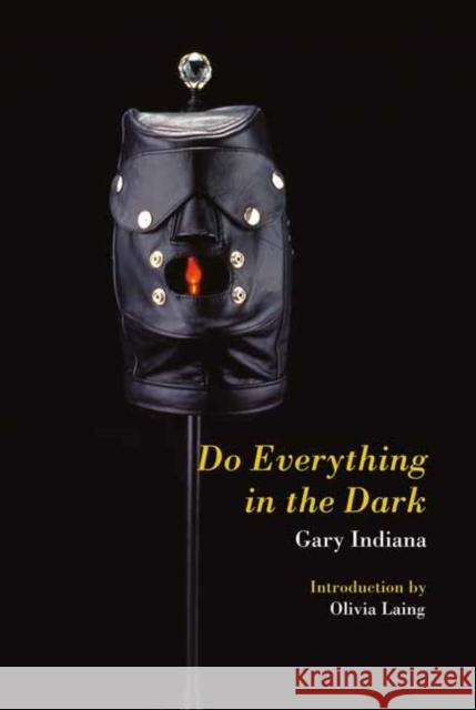Do Everything in the Dark Gary Indiana 9781635901863 Semiotext (E)