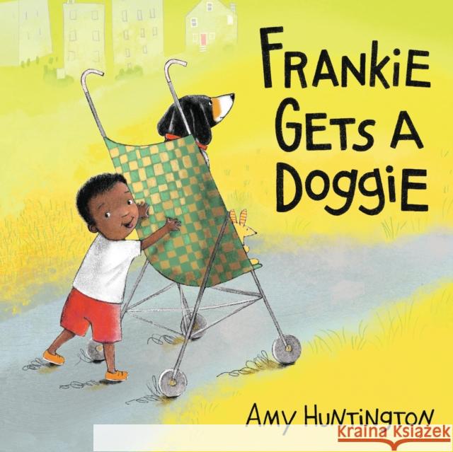 Frankie Gets a Doggie Amy Huntington 9781635923209 Boyds Mills Press