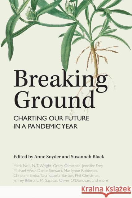 Breaking Ground: Charting Our Future in a Pandemic Year N. T. Wright Marilynne Robinson Anthony Barr 9781636080420 Plough Publishing House