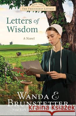 Letters of Wisdom: Friendship Letters #3 Volume 3 Wanda E. Brunstetter 9781636096223