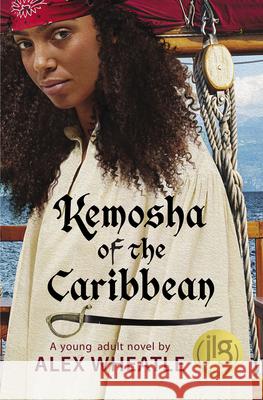 Kemosha of the Caribbean: Reaching Across the Aisle During Four Terms in the Senate  9781636140001 Akashic Books