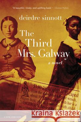The Third Mrs. Galway Deirdre Sinnott 9781636140438 Kaylie Jones Books