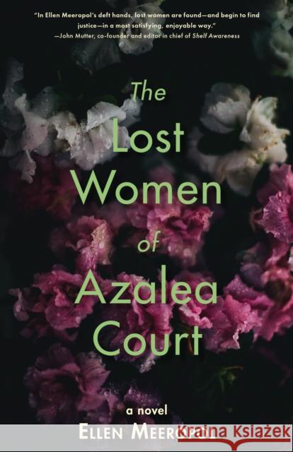 The Lost Women of Azalea Court Ellen Meeropol 9781636280493 Red Hen Press