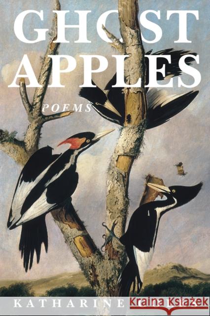 Ghost Apples Katharine Coles 9781636280844 Red Hen Press