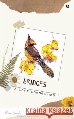 Bridges: A Lost Connection Shana Jaroli 9781636336862