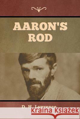 Aaron's Rod D H Lawrence   9781636379098 Bibliotech Press