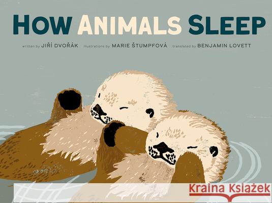 How Animals Sleep Jiri Dvorak 9781636550978