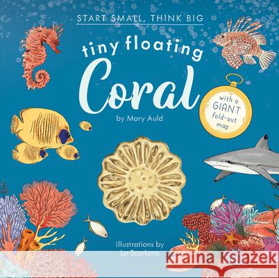 Tiny Floating Coral  9781636551234 Red Comet Press