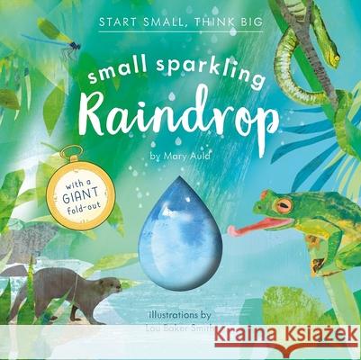 Small Sparkling Raindrop (Start Small, Think Big #5) Mary Auld Lou Bake 9781636551432 Red Comet Press
