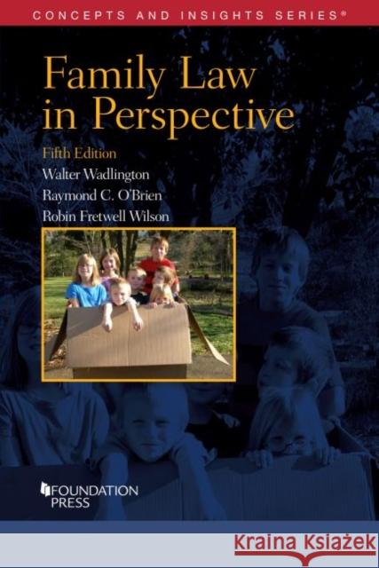 Family Law in Perspective Raymond C. O'Brien, Robin Fretwell Wilson, Walter Wadlington 9781636590691 Eurospan (JL)