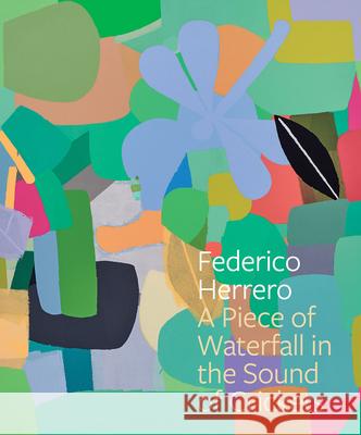 Federico Herrero: A Piece of Waterfall in the Sound of Crickets Federico Herrero 9781636811475 Delmonico Books