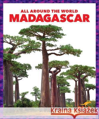 Madagascar Kristine Mlis Spanier 9781636900148 Pogo Books