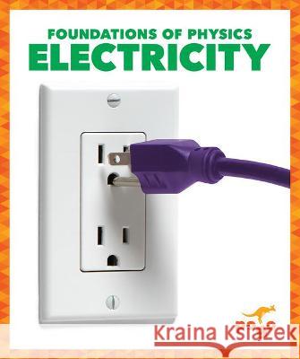 Electricity Anita Nahta Amin 9781636900308 Pogo Books